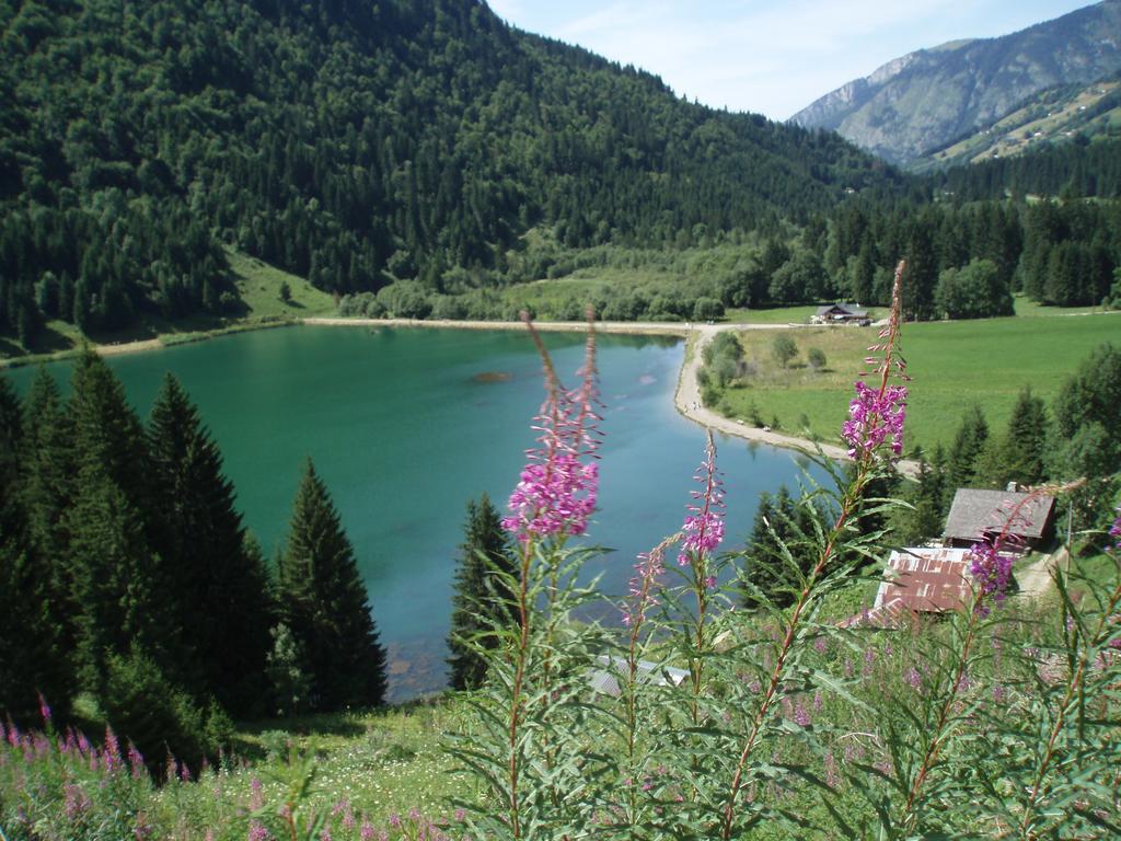 Le Clos Des Fontaines, A 5 Mn Du Lac Thonon-les-Bains Exteriör bild
